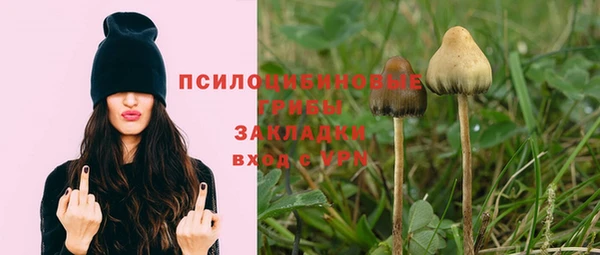 индика Заволжье