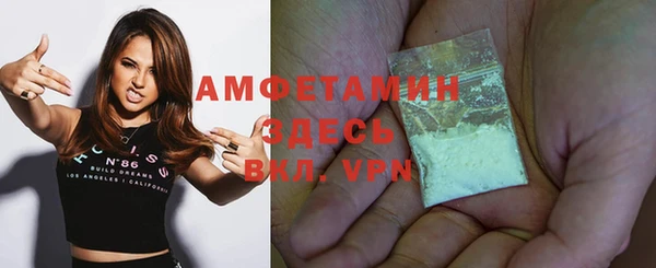 сатива Елабуга