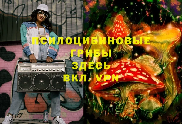 индика Заволжье