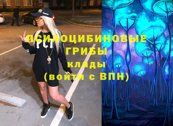 соль курить ск Ельня
