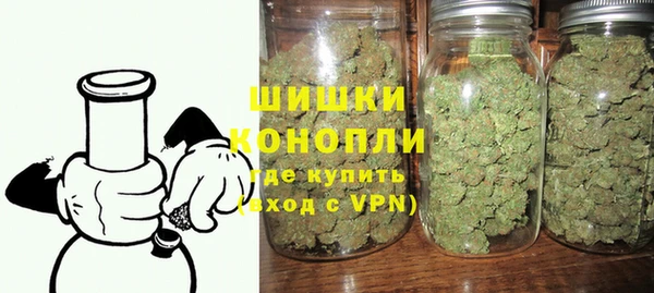сатива Елабуга