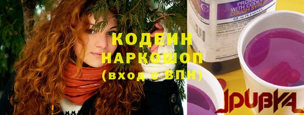 сатива Елабуга