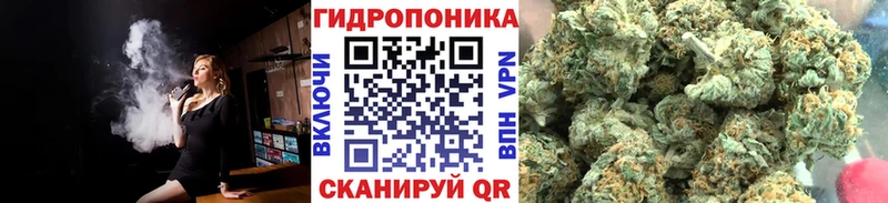 Марихуана сатива  Купить где  Белёв 